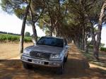 Toyota Land Cruiser 100 VX 2002 года